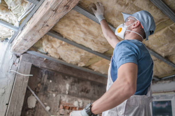 Best Insulation Maintenance and Repair in , AZ