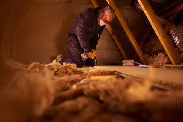 Best Insulation for Specific Applications in , AZ